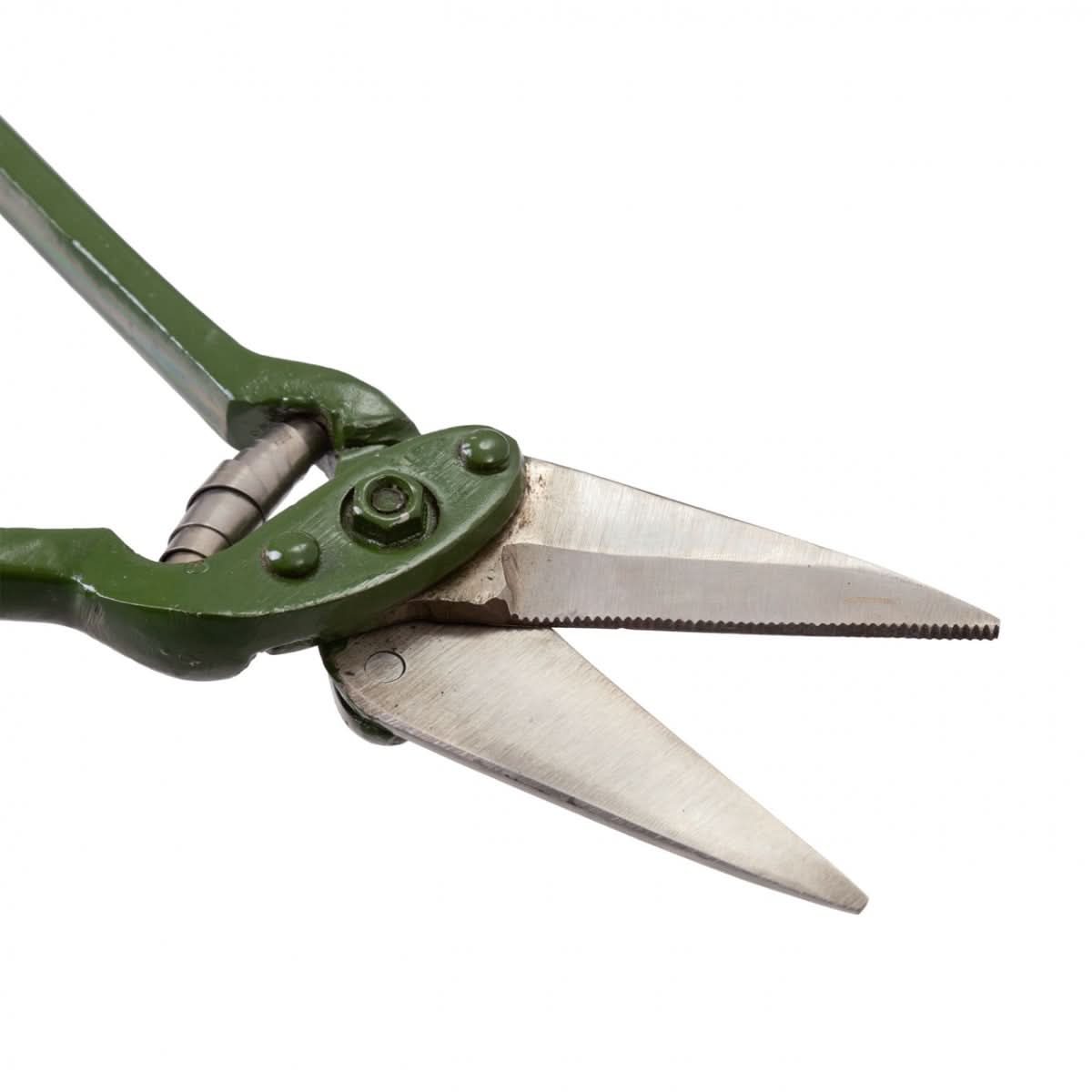 Foarfeca taiat copite zimtata oi capre tratamente terapeutice