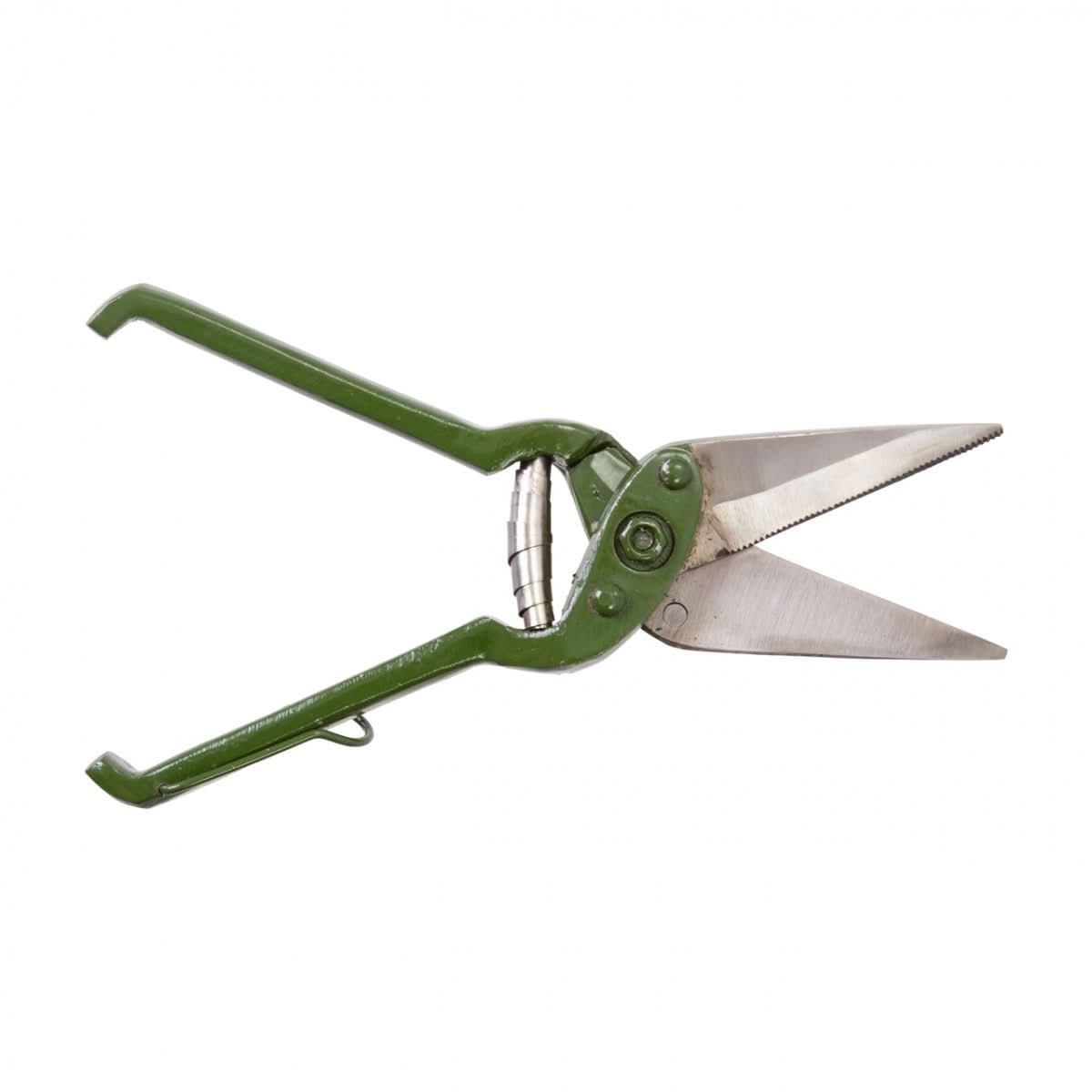 Foarfeca taiat copite zimtata oi capre tratamente terapeutice