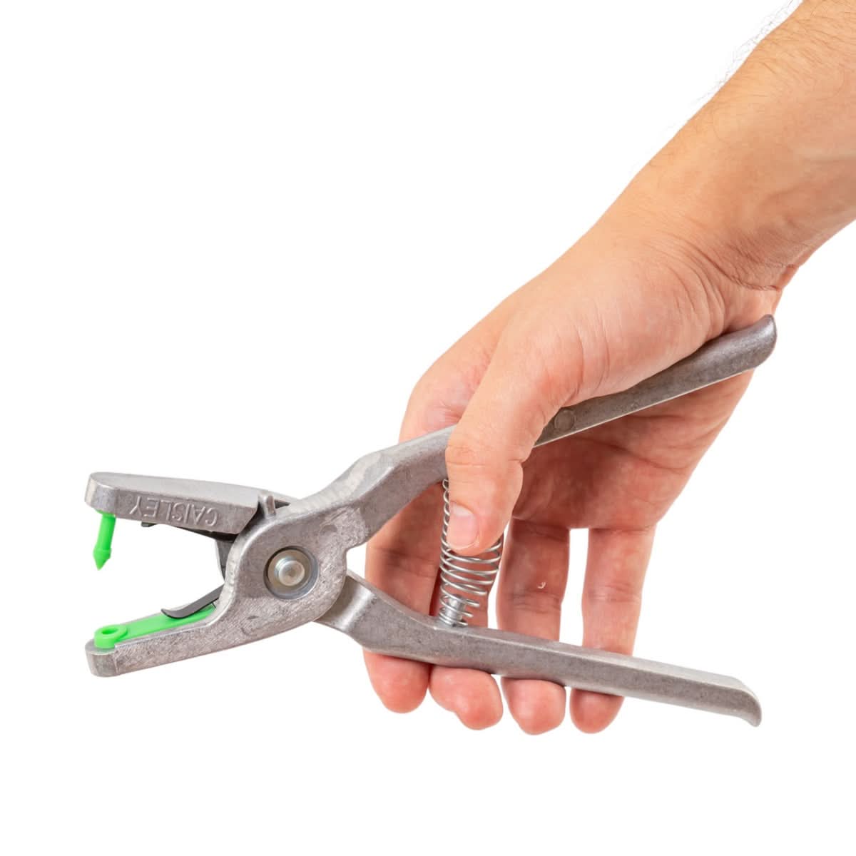 Crotalii pentru miei si iezi Twintag verde 1-50