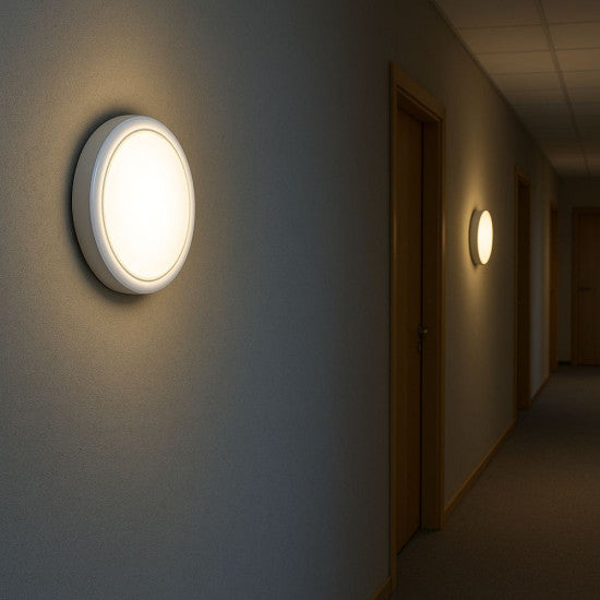Aplica LED IP65 15W, 1000 lm, 171x66 mm, 6500K