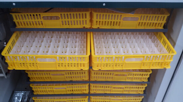 Incubator industrial automat ZEP 2112 pentru oua, capacitate extrem de mare, control digital, intoarcere automata, ovoscop integrat