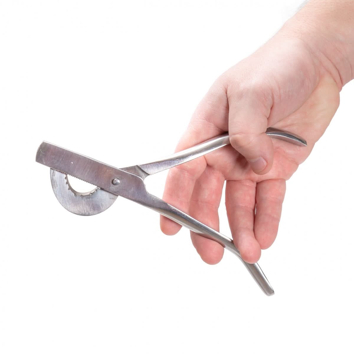 Clema castrare purcei 19 cm otel inoxidabil