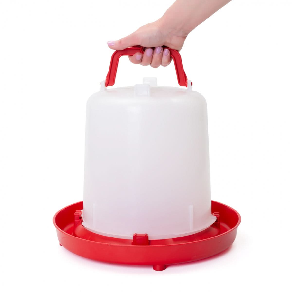 Adaptoare pentru pui, tip clopot, 10 litri