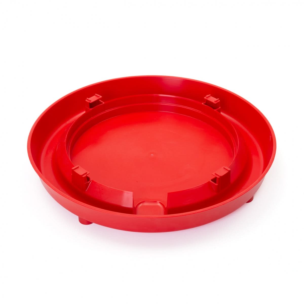 Adaptoare pentru pui, tip clopot, 10 litri