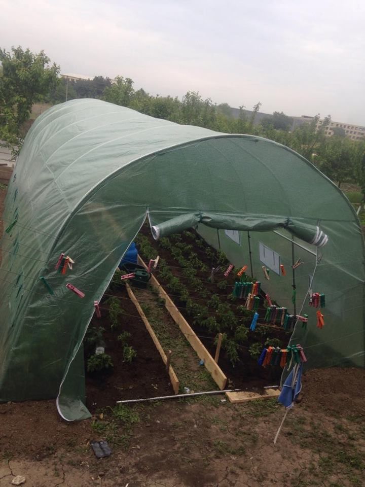 Solar gradina 8x3x2.5 m ZEP PRO, folie polietilena 240 g/mp, structura otel galvanizat, rezistent UV