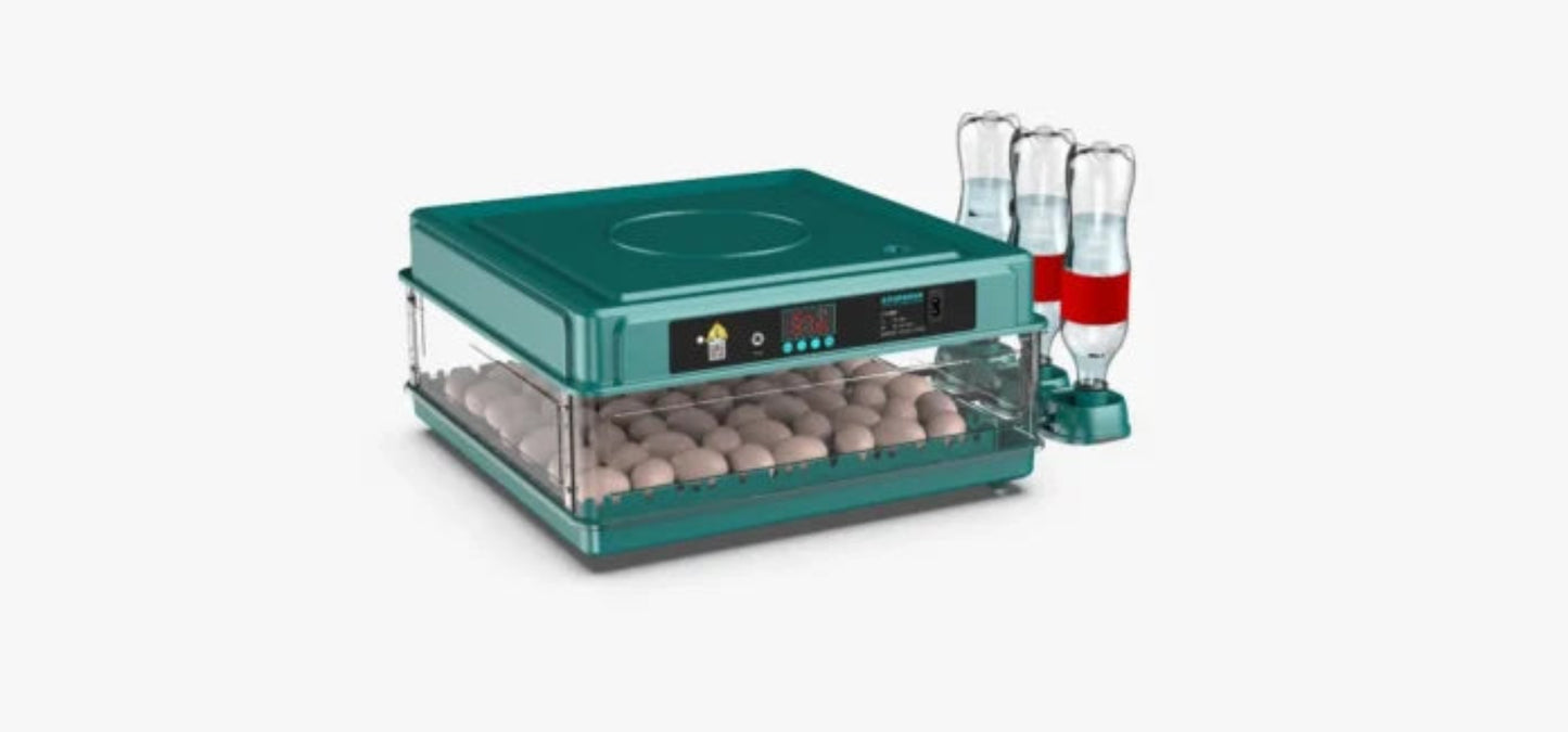 Incubator automat ZEP OVOBOX-70 pentru oua, capacitate mare, alimentare 220V si 12V, control temperatura, intoarcere automata