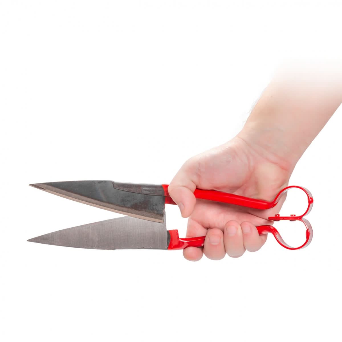 Foarfeca de tuns oi, 31 cm, cu lame șlefuite profesional, pentru animale și grădinărit