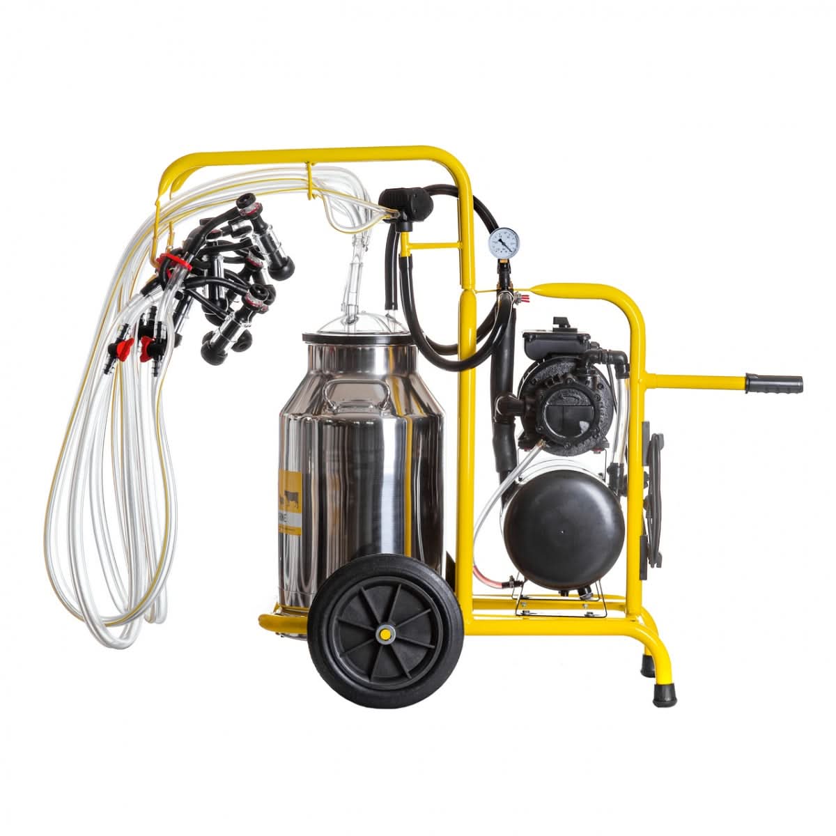 Aparat de muls oi, 4 posturi, 1 bidon inox 40 litri