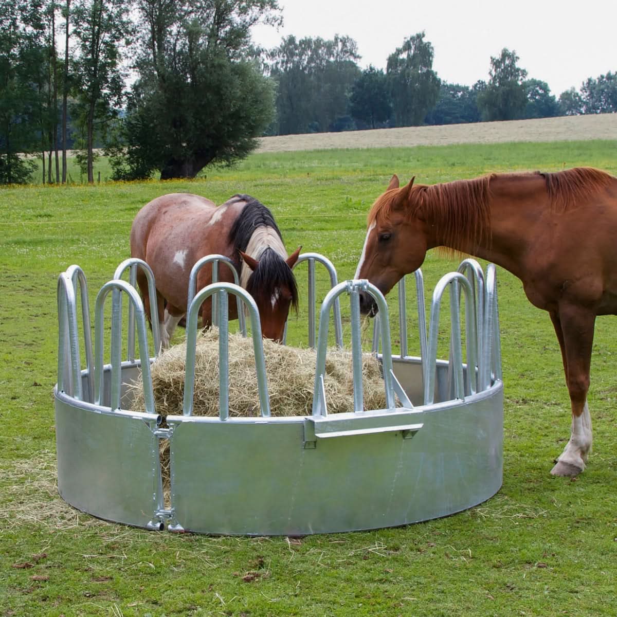 Iesle modulara rotunda pentru hranirea vacilor si cailor, cu 12 locuri de hranire