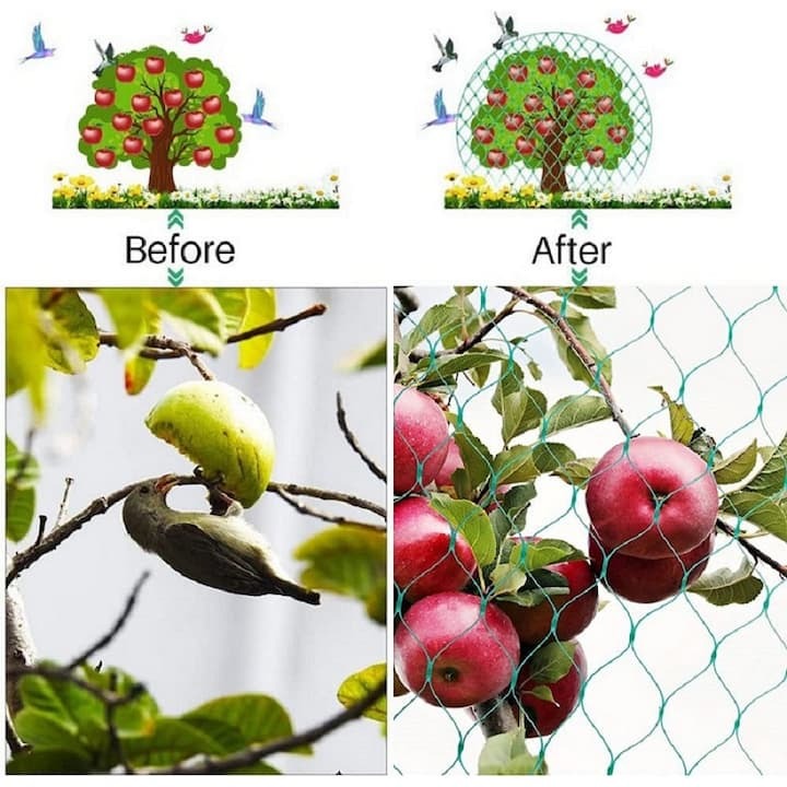 Plasa protectie plante anti-pasari 2x10m, rezistenta UV, usoara si durabila