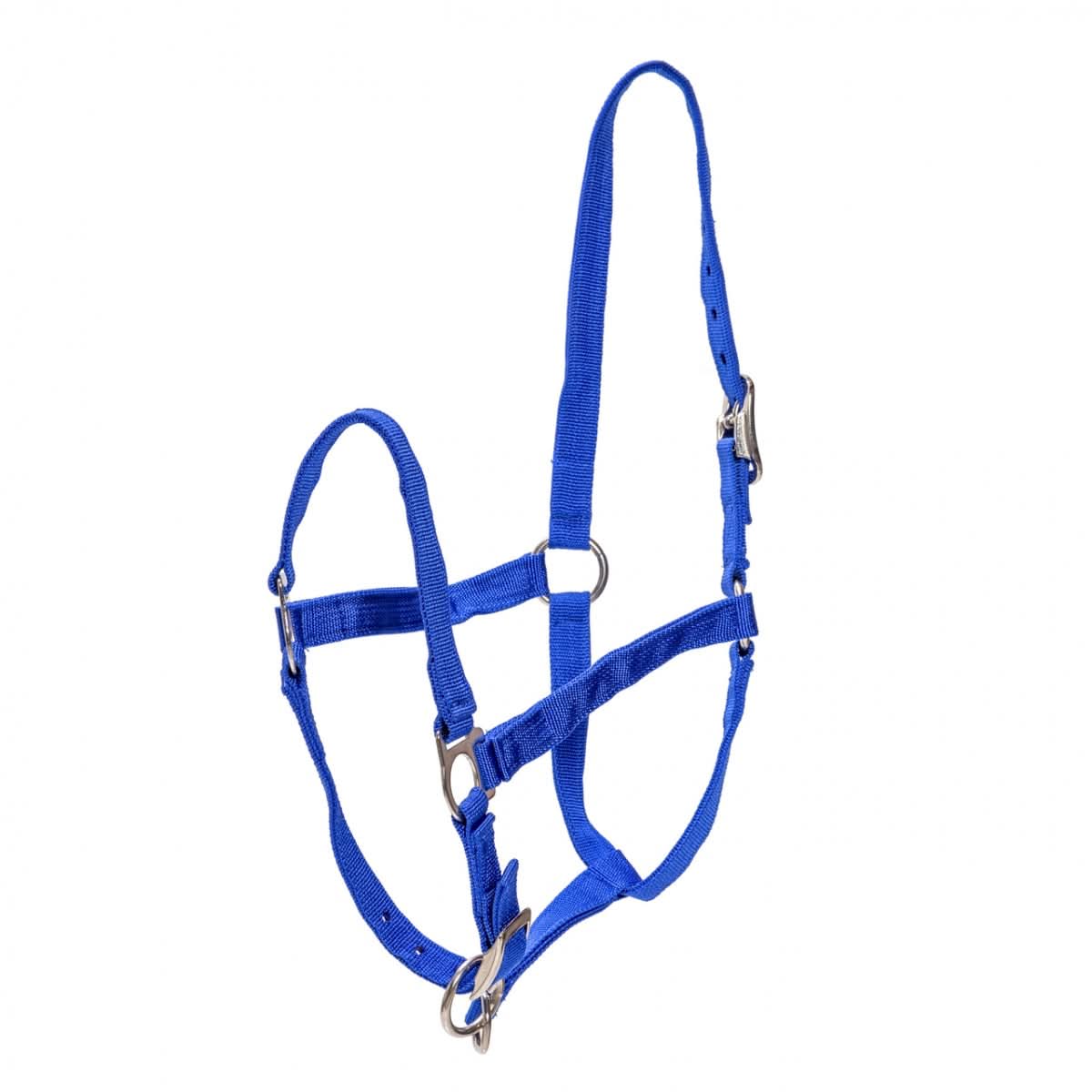 Frau pentru cai, vaci si tauri, albastru