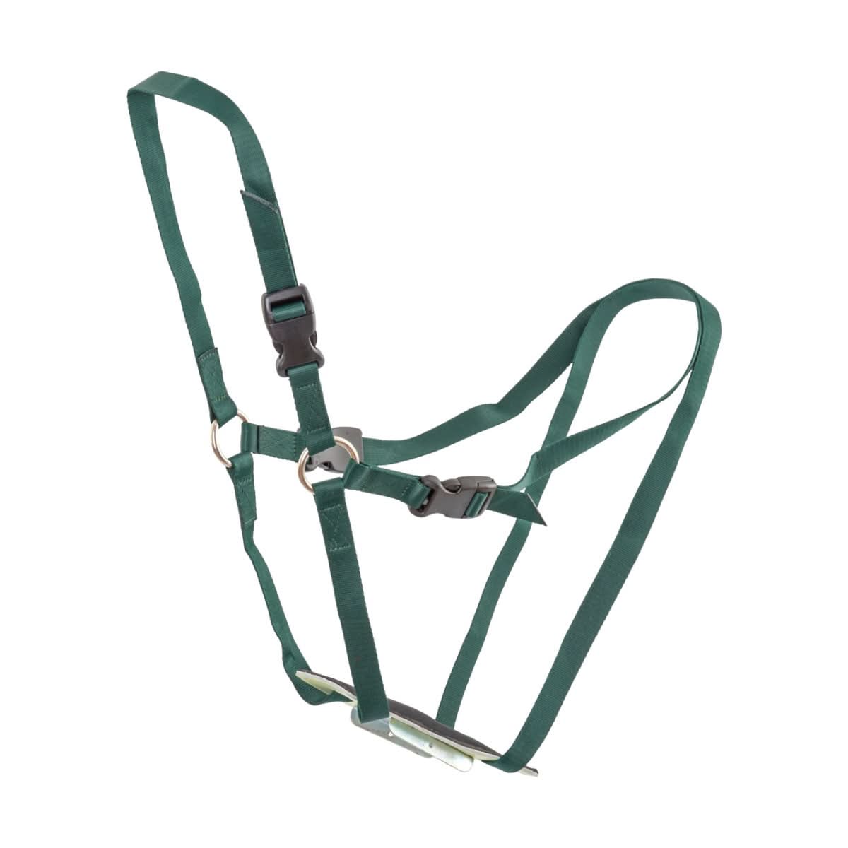 Ham poliamida pentru marcaj monta oi berbeci prindere cu clipsuri