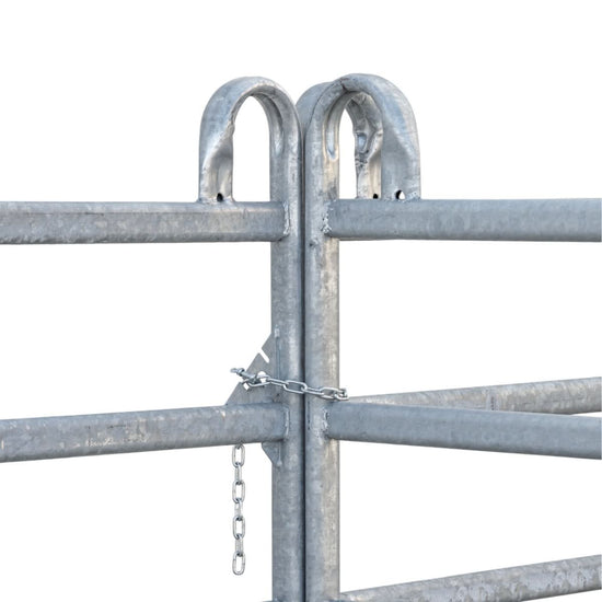 Panou pasune, 300 × 170 cm