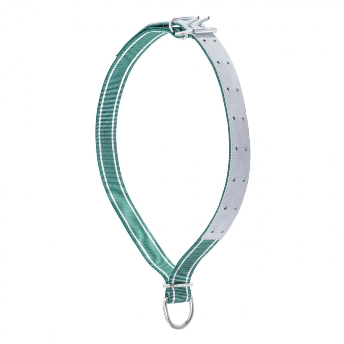 Colier pentru bovine, 150 × 5 cm