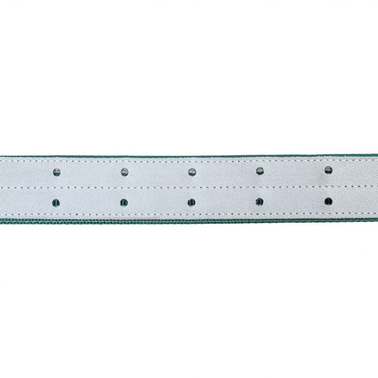 Colier pentru bovine, 150 × 5 cm