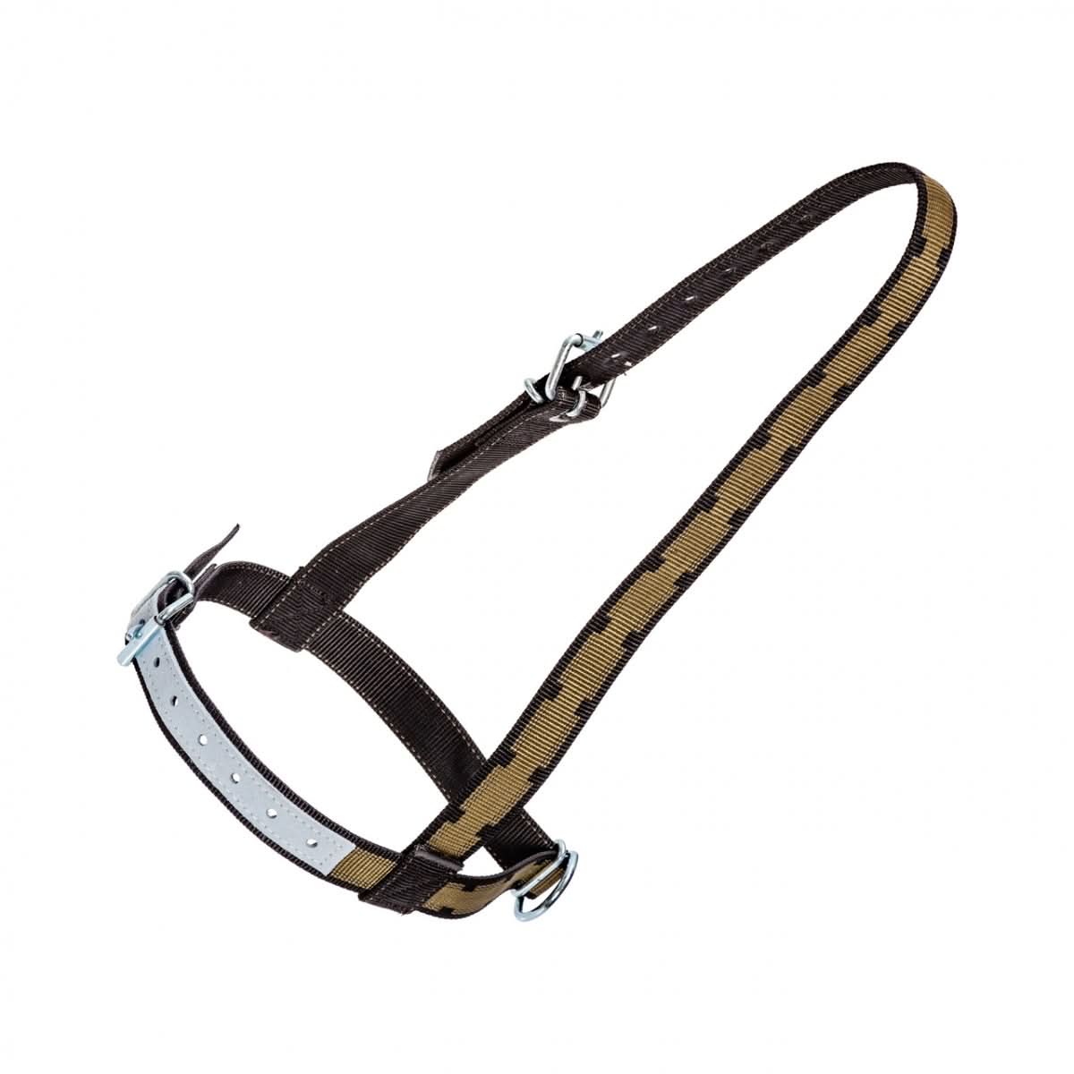 Capastru pentru vaci, simplu, cu inel