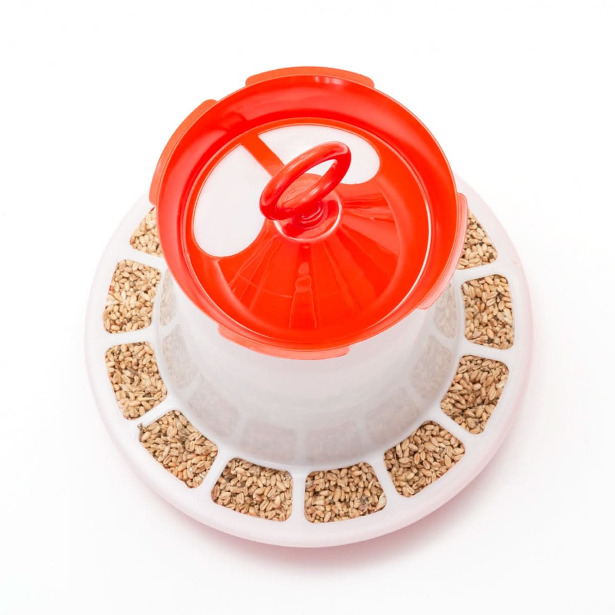 Hranitoare plastic pentru pui si pasari de curte, capacitate 10 l