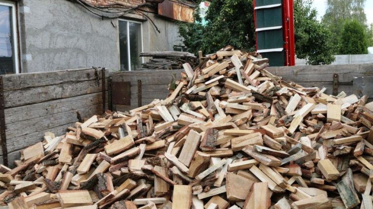 Tocator de crengi ZEP AM-120BD-K PRO ARPAL, diametru maxim 120 mm, motor 18 CP, productivitate 10 m3/ora, banda transportoare inclusa