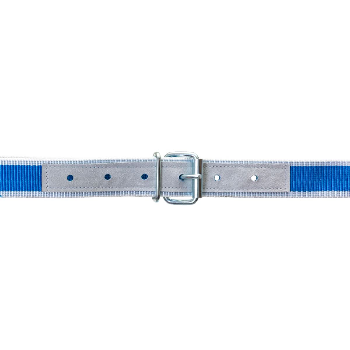 Capastru pentru vaci, cu lant