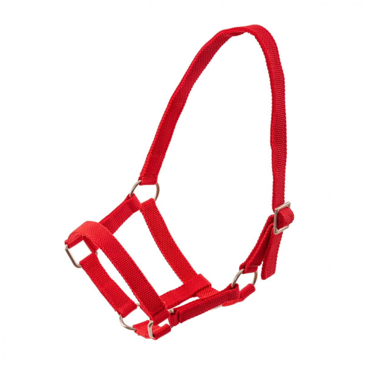 Capastru pentru oi și berbeci, rosu