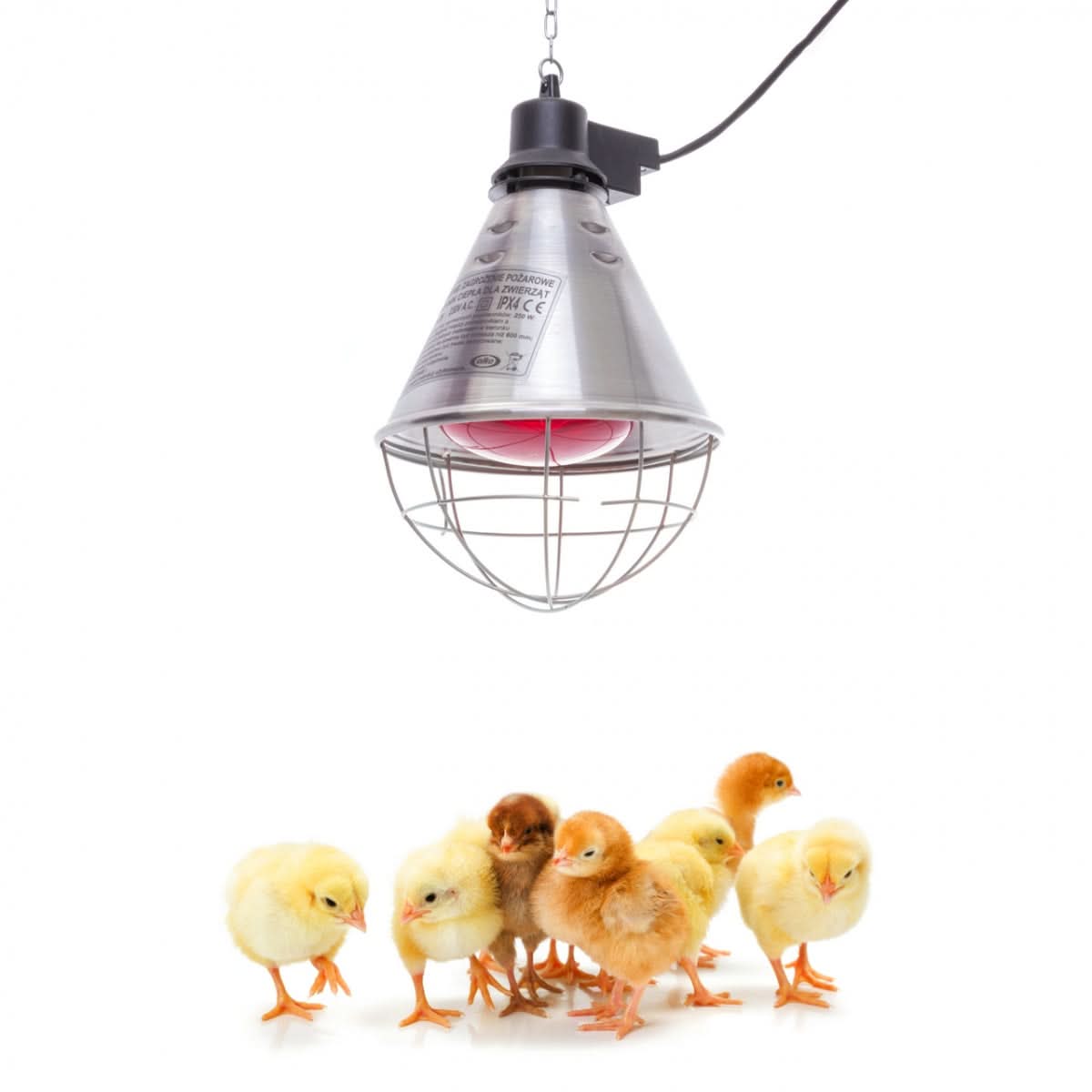 Suport bec infrarosu pentru incalzirea animalelor, aluminiu, lant reglabil 2m, cablu 2,5m