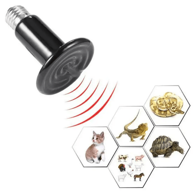 Bec negru cu infrarosu emitator de caldura pentru animale de companie, 150W, Tehno Ms #81704 - ZEP.RO - Ți-e la îndemână!