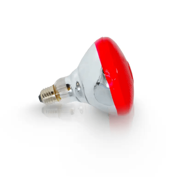 Bec din sticla groasa cu infrarosu, 150W, pentru incalzirea animalelor, Tehno Ms #142 - ZEP.RO - Ți-e la îndemână!