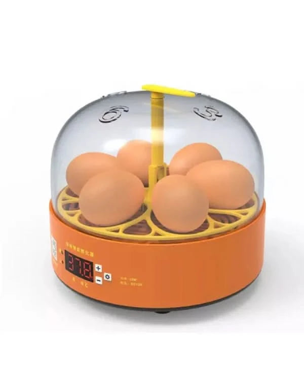 Incubator Automat MS-6 (12V/220V) – 6 Ouă