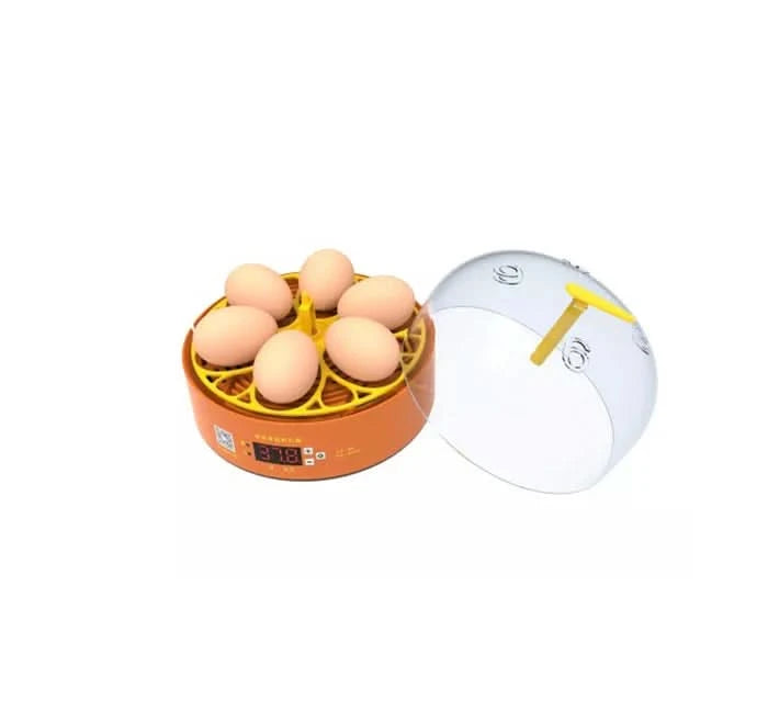 Incubator Automat MS-6 (12V/220V) – 6 Ouă