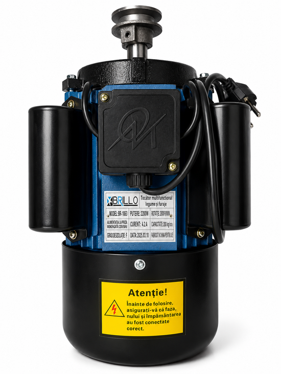 Razatoare si tocator electric furaje Brillo 2 in 1, 2.2kW, 2800 rpm, 300 kg/h, inox