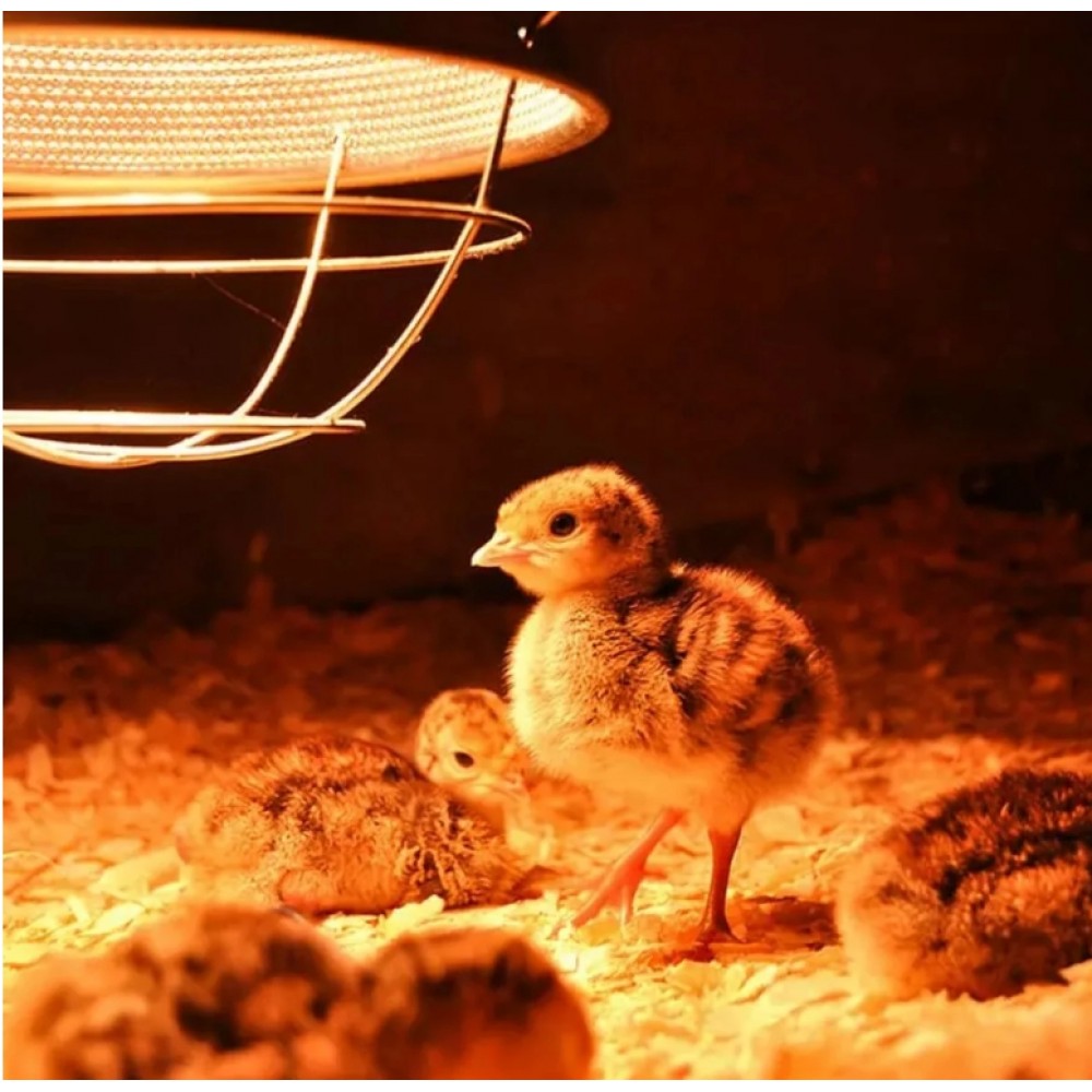 Bec infrarosu Fermag 275W E27 rosu pentru pui purcei miei reptile