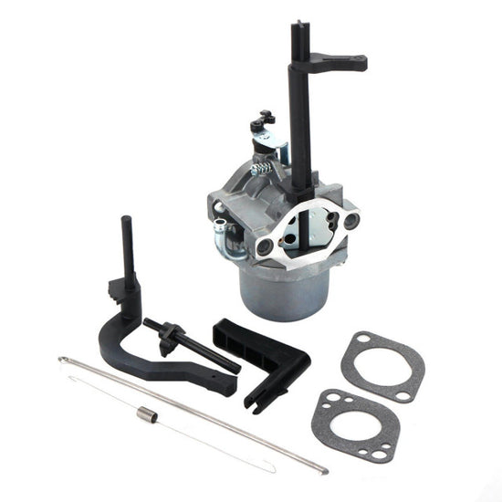 Carburator Briggs & Stratton 591378, 699966, 699958