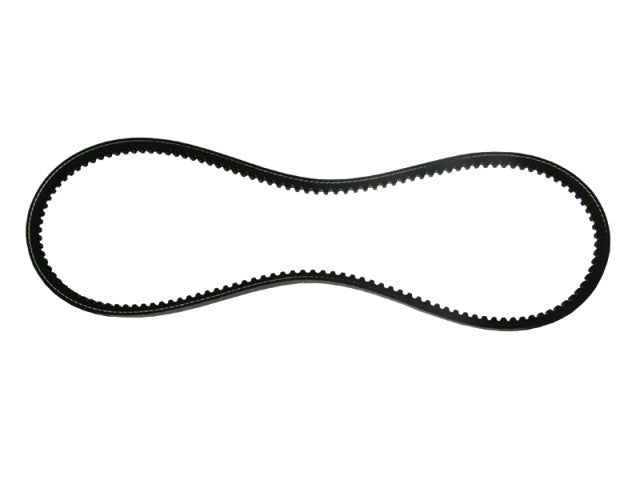 Curea motosapa (Zimbru 6544) 13 x 8 x 925 La