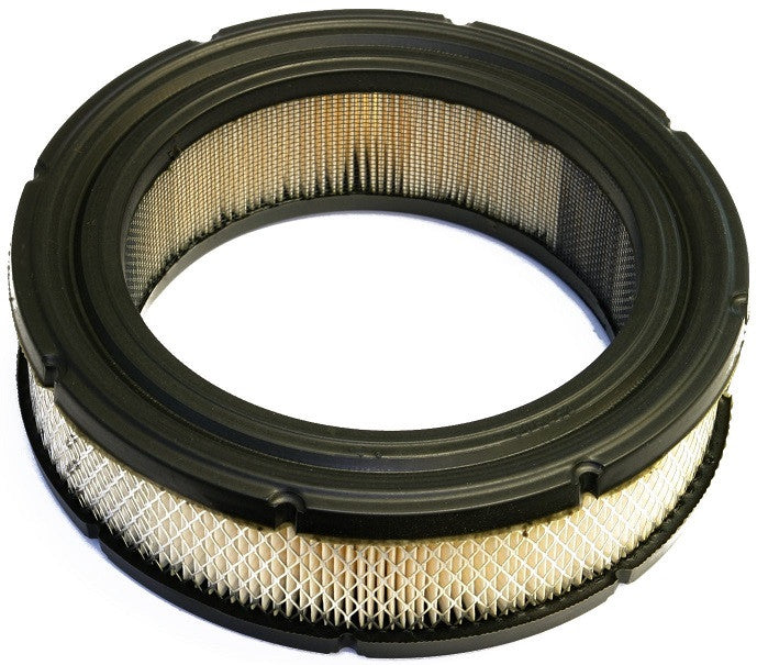 Filtru aer Briggs Stratton 692519 vedere alternativa