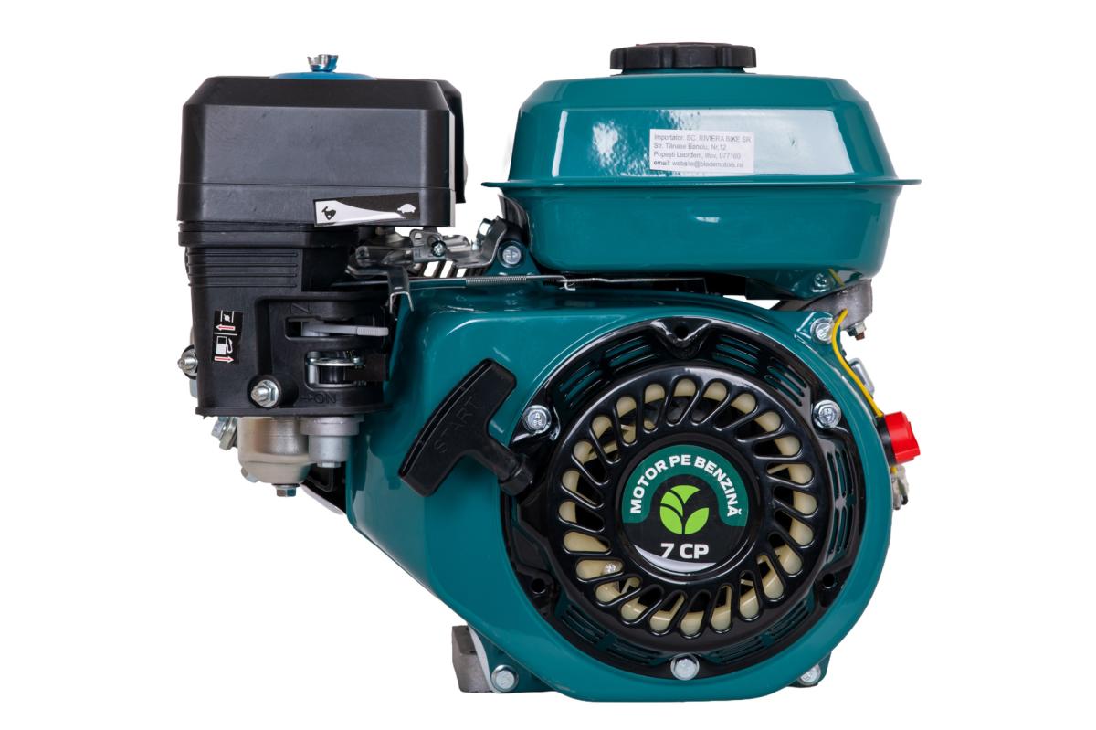 Motor uz general Gospodarul Profesionist GP-170F, benzina, 7 CP