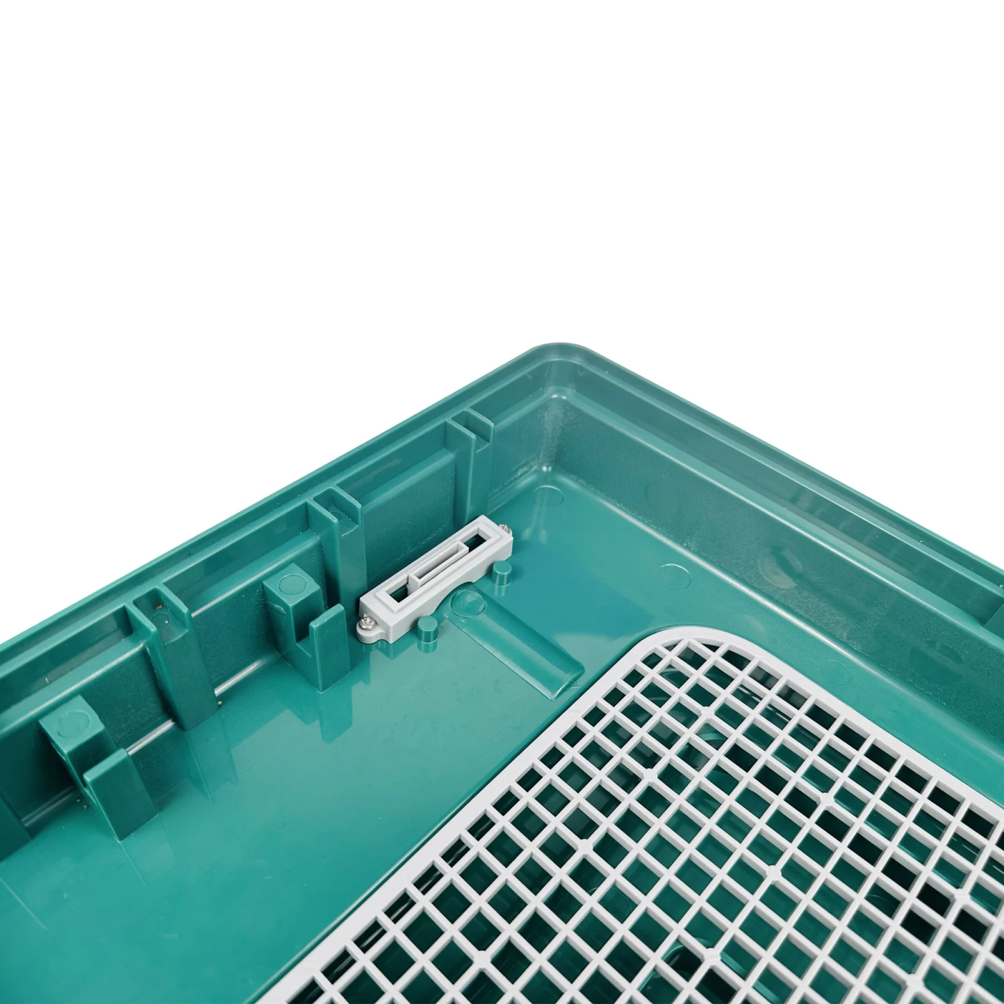 Incubator automat 24 ouă, MS-24, afișaj digital, întoarcere automată, ovoscop integrat