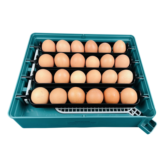 Incubator automat ZEP MS-24 pentru oua, 24 oua, control digital temperatura si umiditate, intoarcere automata