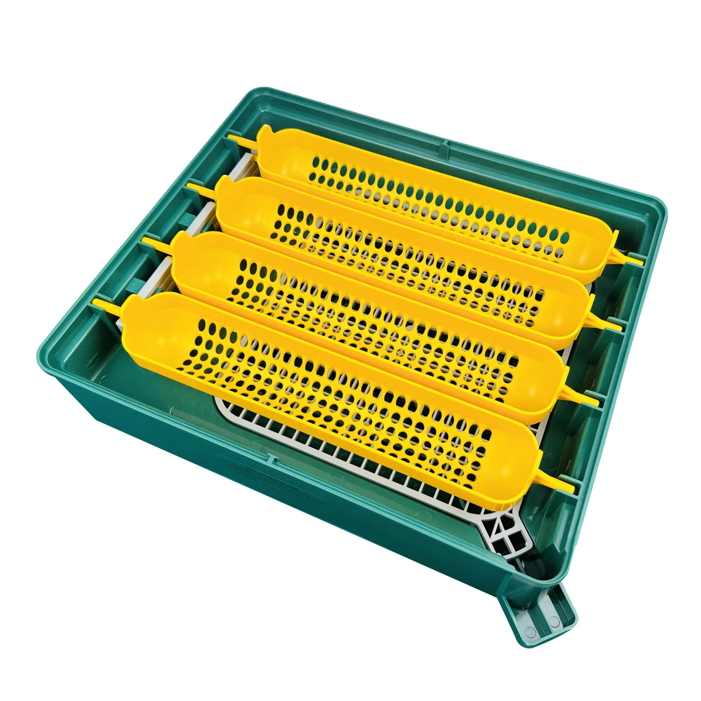 Incubator automat 24 ouă, MS-24, afișaj digital, întoarcere automată, ovoscop integrat