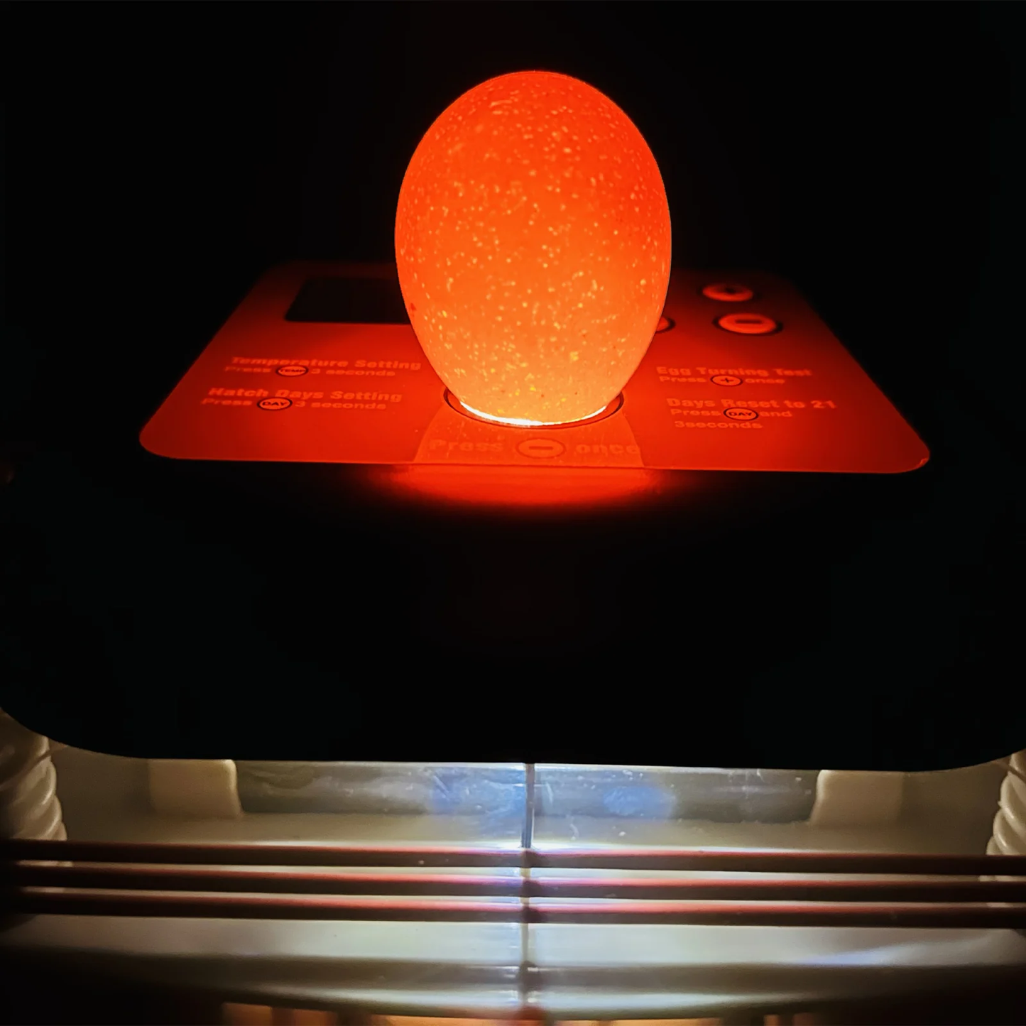 Incubator automat 24 ouă, MS-24, afișaj digital, întoarcere automată, ovoscop integrat