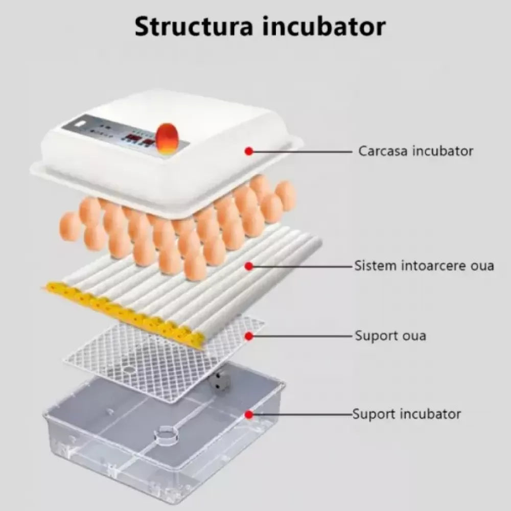 Incubator automat ZEP MS-36, 36 oua, 12V/220V, intoarcere automata, afisaj digital
