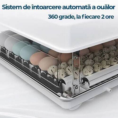Incubator automat MS-70, 70 oua, intoarcere automata, afisaj temperatura
