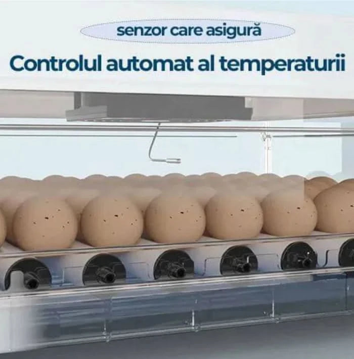 Incubator automat MS-70, 70 oua, intoarcere automata, afisaj temperatura