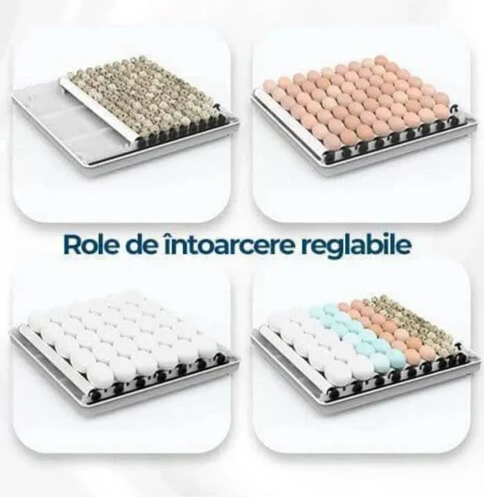 Incubator automat MS-70, 70 oua, intoarcere automata, afisaj temperatura