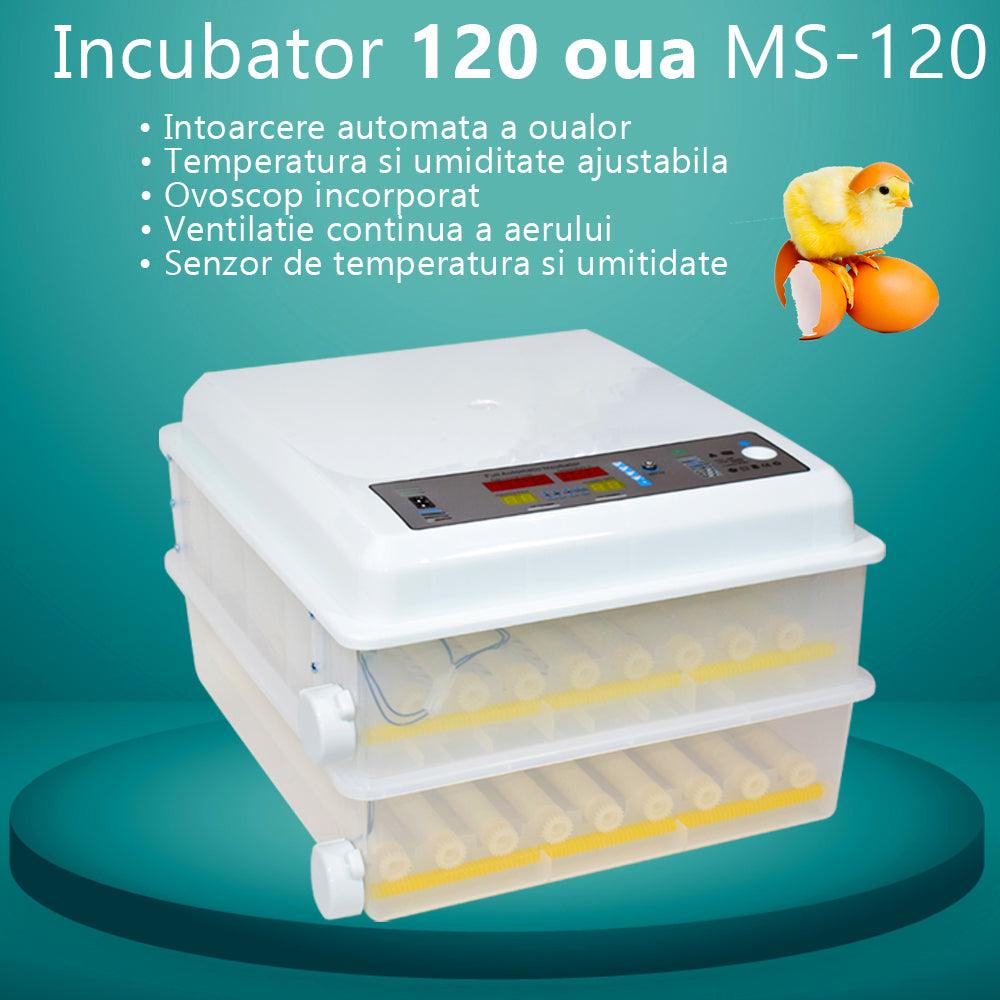 Incubator automat MS-120 oua, 12V/220V, Tehno Ms #224 - ZEP.RO - Ți-e la îndemână!