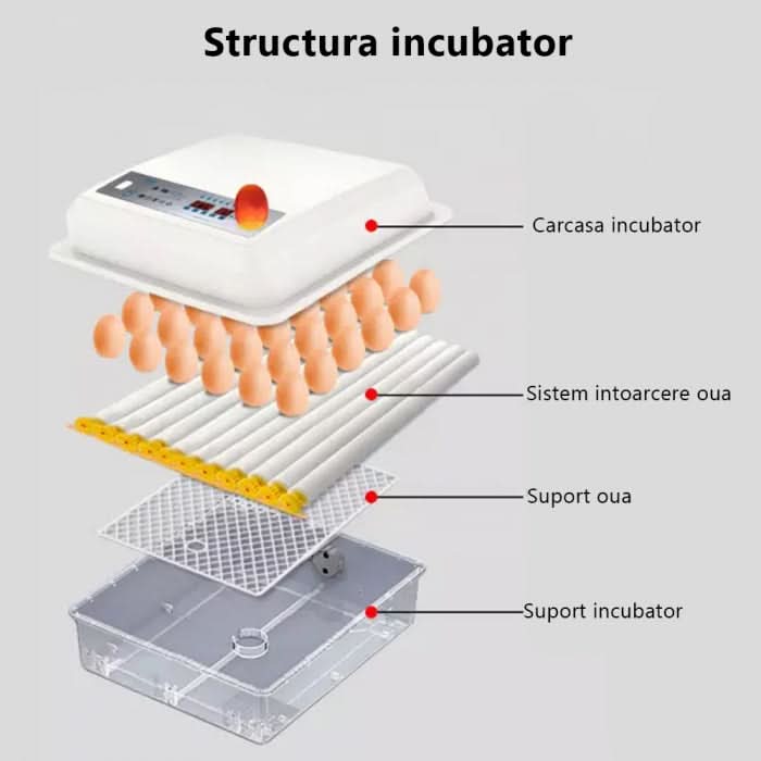 Incubator automat ZEP MS-64, 64 oua, 12V/220V, intoarcere automata, afisaj digital