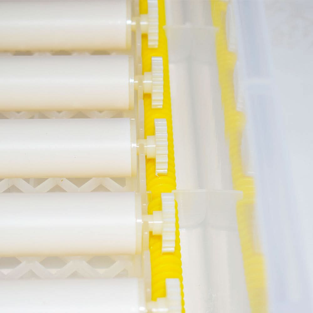 Incubator automat MS-36, 220V, 80W, 36 oua, Tehno Ms #53101