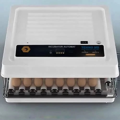Incubator automat 130 ouă, MS-130, afișaj digital, întoarcere automată