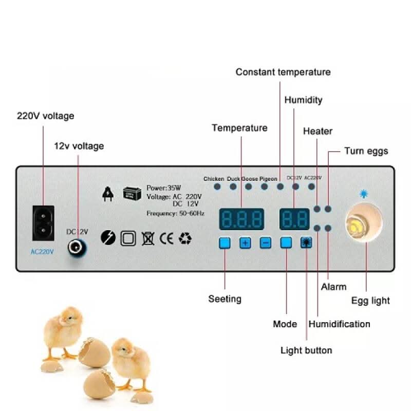 Incubator Automat MS-176 – 176 Ouă (12V/220V)