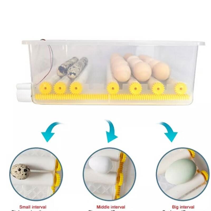 Incubator Automat MS-176 – 176 Ouă (12V/220V)