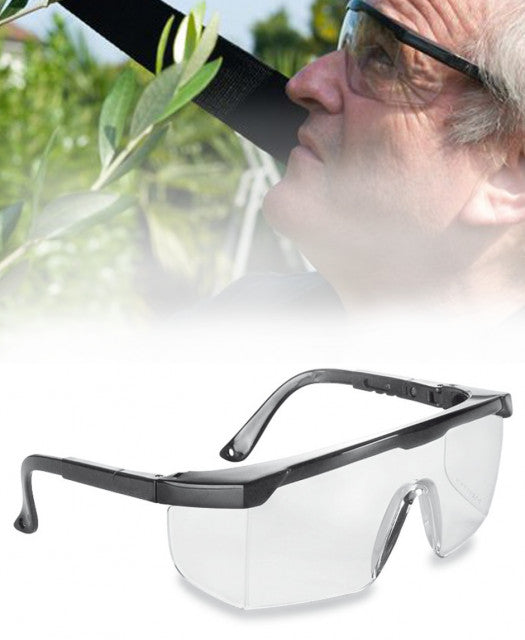 Ochelari pentru motocoasa protectie motocoasa (transparenti) - vedere 3